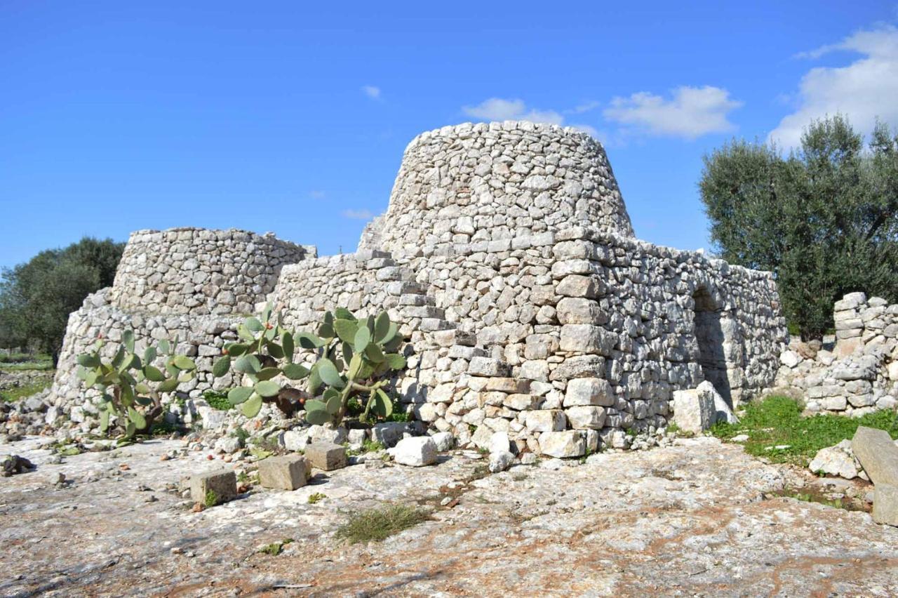 לינה וארוחת בוקר סאלבה Il Sole Del Salento מראה חיצוני תמונה