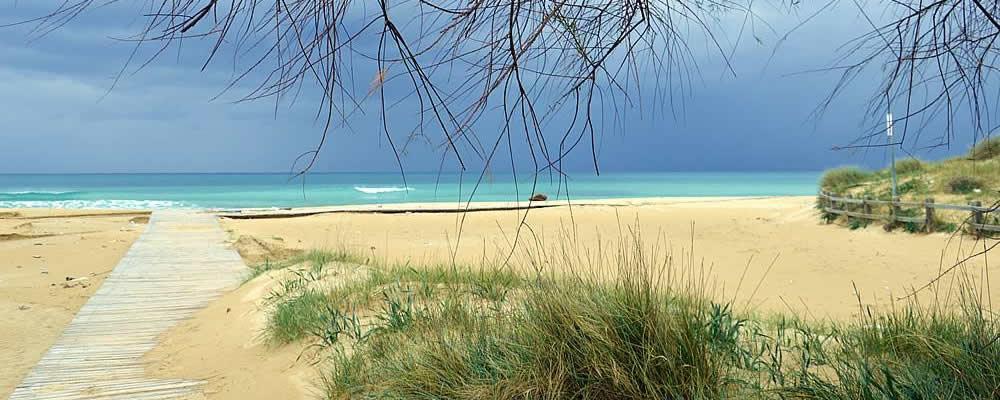 לינה וארוחת בוקר סאלבה Il Sole Del Salento מראה חיצוני תמונה